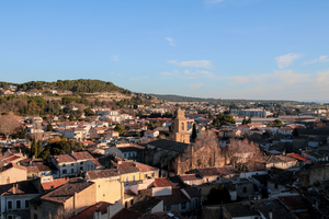 Traitement punaises de lit Gardanne